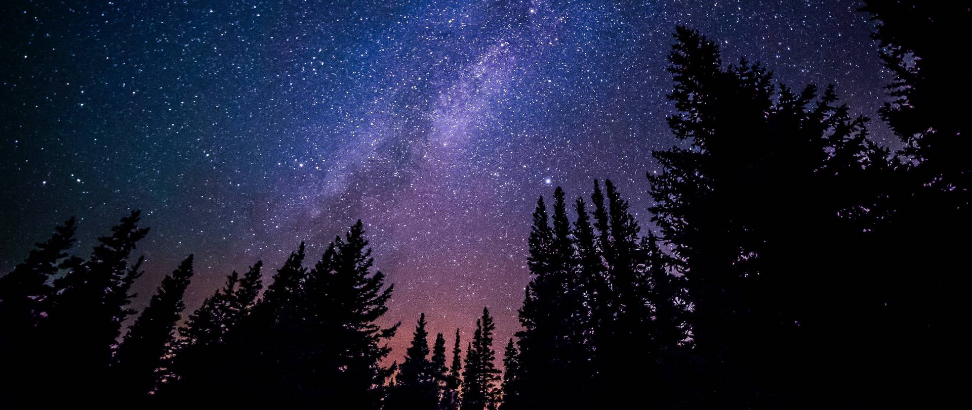 Stars over a forest. Photographer: Ryan Hutton. Licensed (Jztmx9yqjBw)
